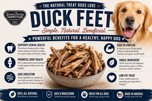Duck Feet